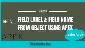 Read more about the article How to get all Field Label or Field Name from Object Using APEX.
